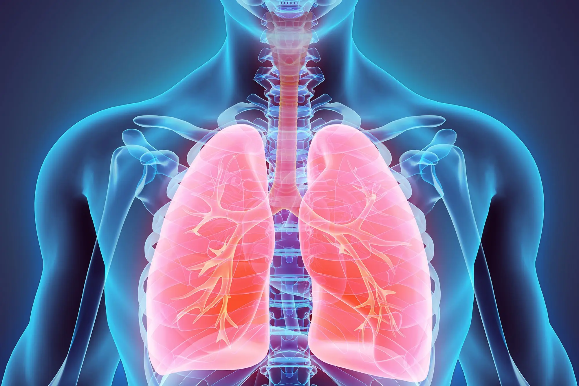 Fat in the lungs. More and more is known about the dire consequences of obesity