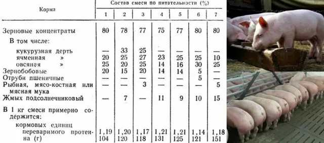 Fattening pigs: the most effective methods