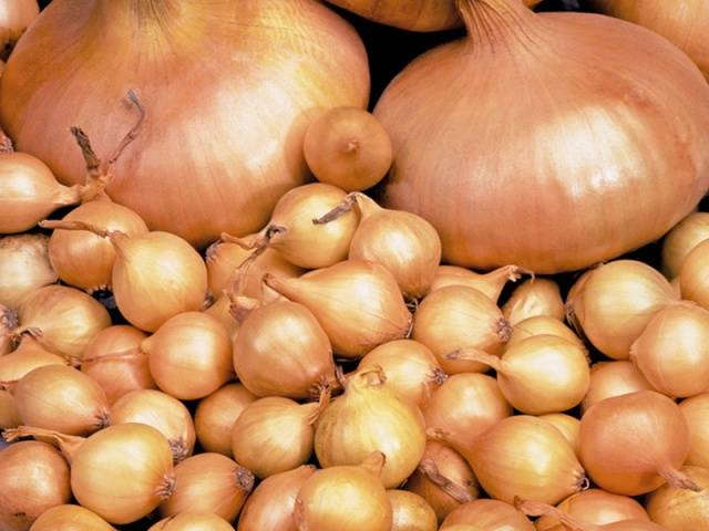 Favorable days for planting onions in 2022