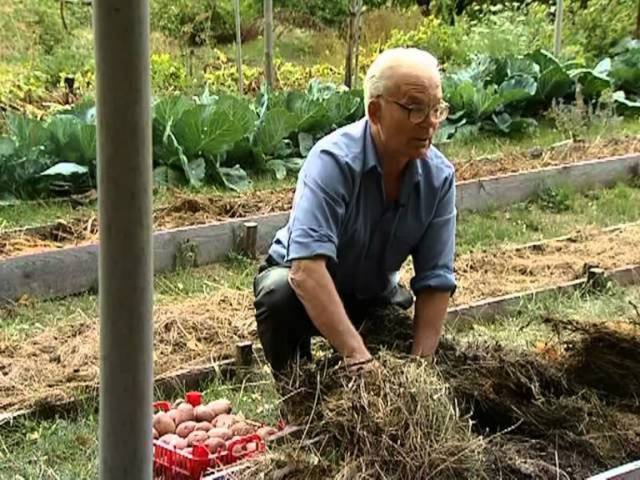 Favorable days in April for planting potatoes 