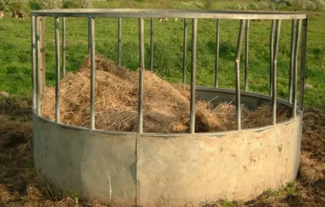 Feeder for cattle