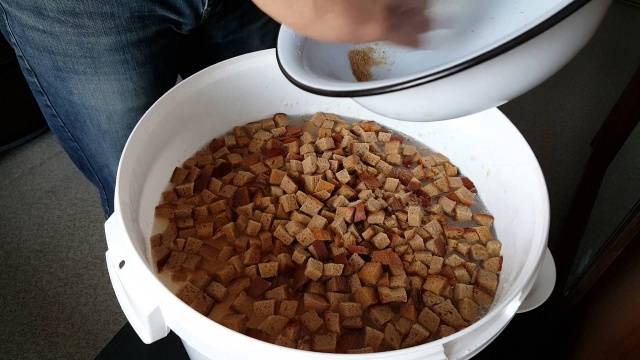 Feeding cucumbers with bread infusion 