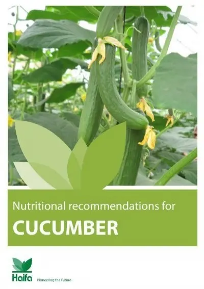 Feeding cucumbers with calcium nitrate