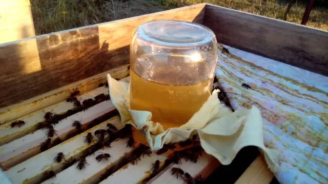 Feeding the bees in autumn