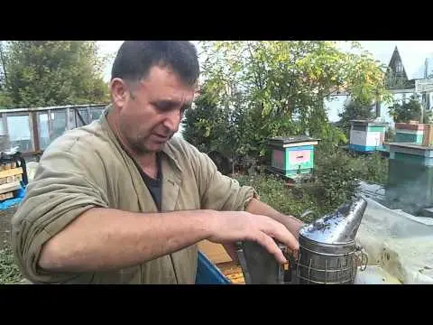 Feeding the bees in autumn