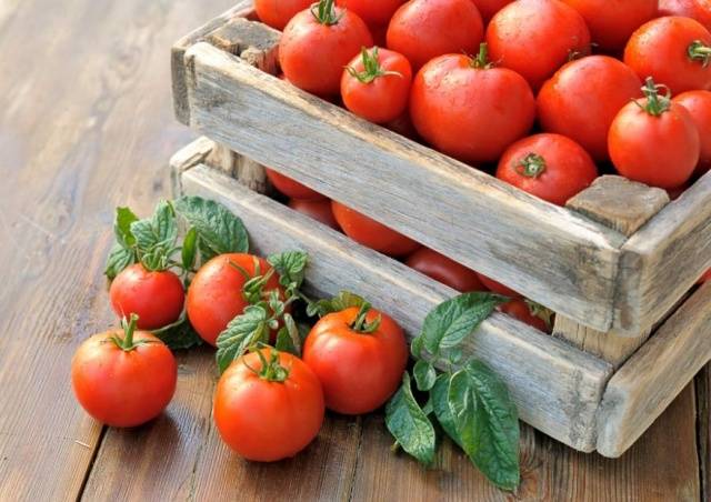 Feeding tomatoes after planting in the ground