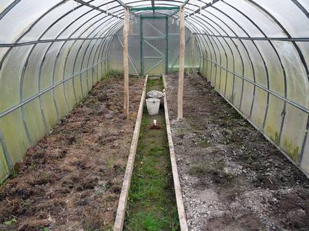 Feeding tomatoes with rabbit, horse manure 