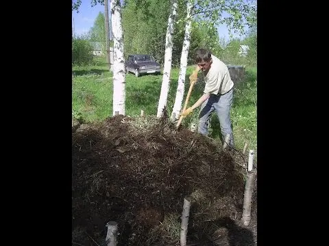 Feeding tomatoes with rabbit, horse manure 