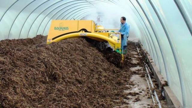 Feeding tomatoes with rabbit, horse manure 