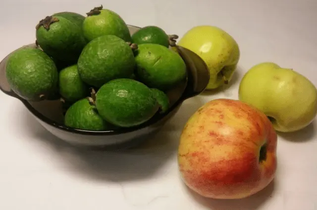 Feijoa compote recipe for every day