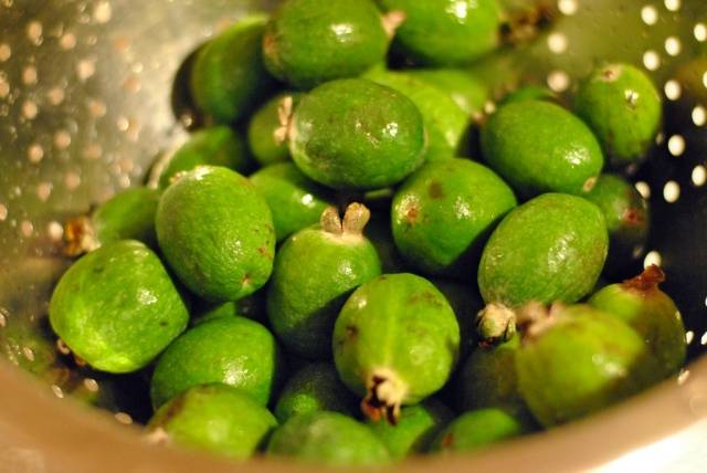 feijoa jam recipe