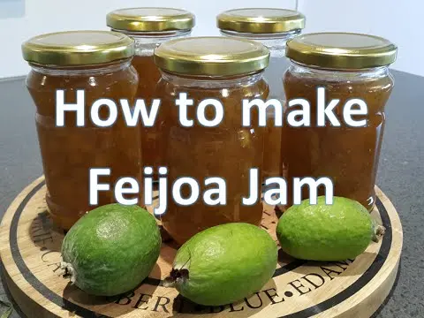 feijoa jam recipe