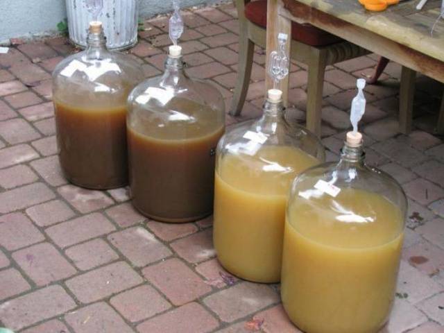 Feijoa moonshine recipe