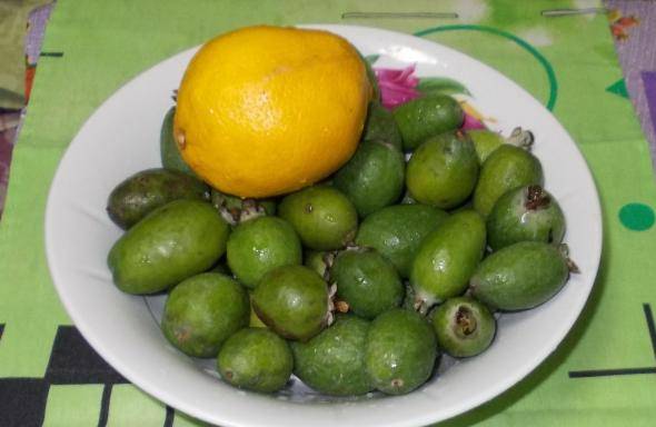 Feijoa pureed with sugar