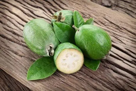 Feijoa wine at home