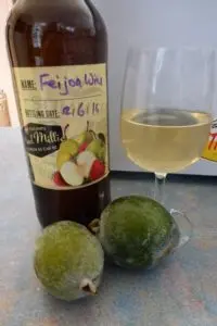 Feijoa wine at home