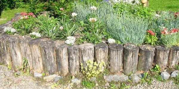 Fence for flower beds: we make from different materials