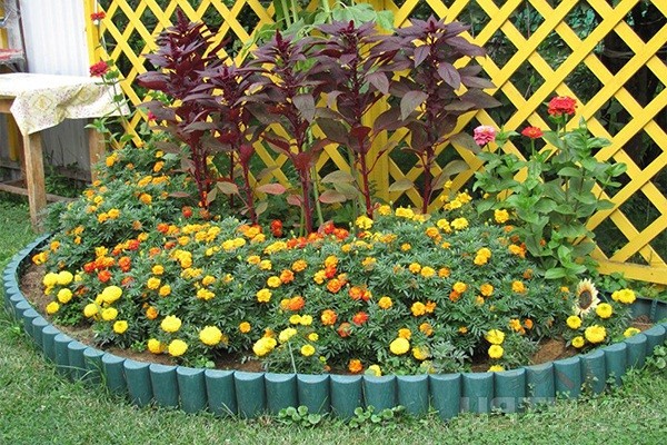 Fence for flower beds: we make from different materials