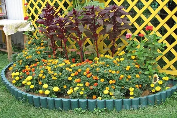 Fence for flower beds: we make from different materials