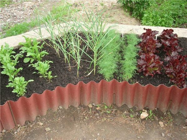 Fencing a flower bed with your own hands from improvised materials: fences