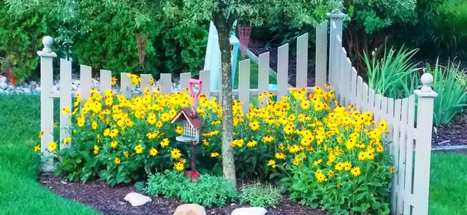 Fencing a flower bed with your own hands from improvised materials: fences