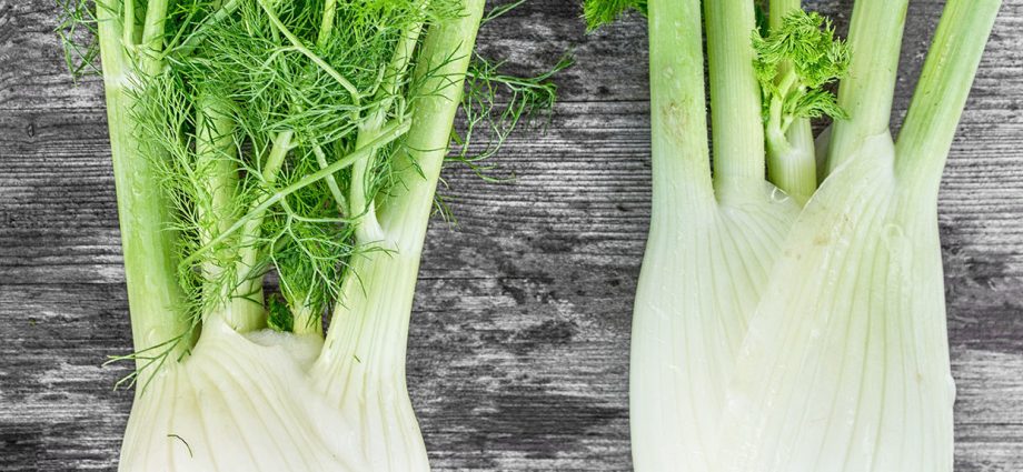 Fennel &#8211; what is worth knowing about it?