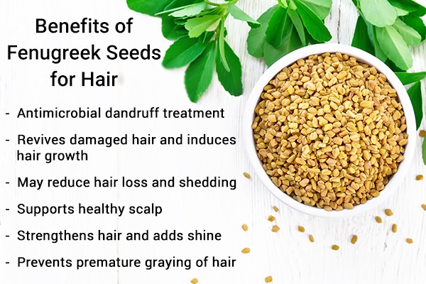 Fenugreek for hair &#8211; use, rub, contraindications