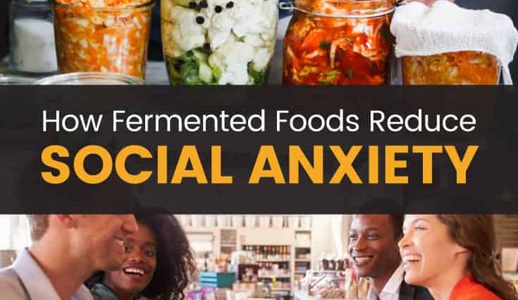 Fermented food can reduce social anxiety