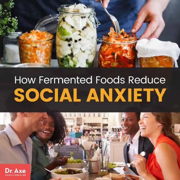 Fermented food can reduce social anxiety