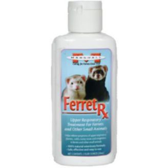 Ferret coughs: cold, treatment