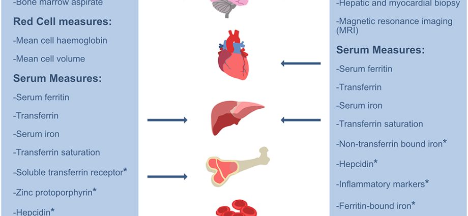 Ferritin &#8211; role, deficiency, testing of ferritin levels [EXPLAINED]