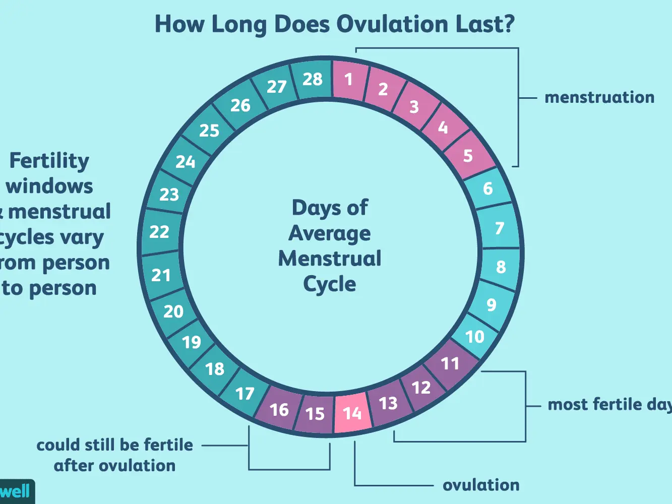 Fertile and infertile days &#8211; how is the menstrual cycle?