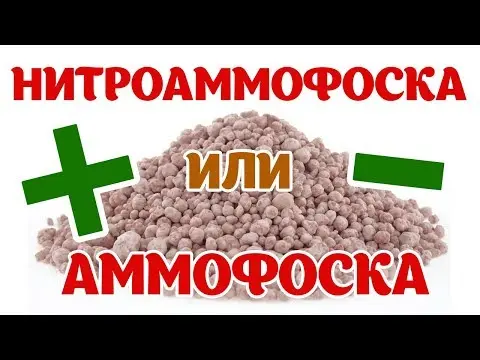 Fertilizer Ammofosk: composition, instructions for use in the garden in spring and autumn