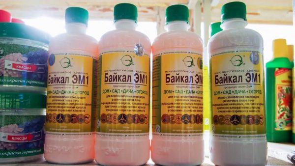 Fertilizer Baikal: the benefits of using it for various crops