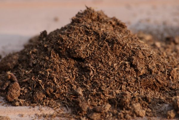 Fertilizer Baikal: the benefits of using it for various crops