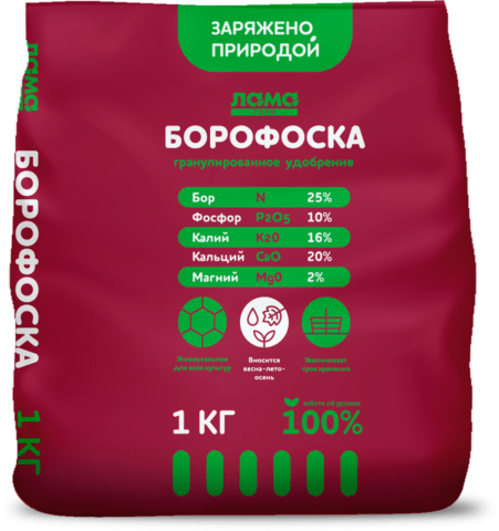 Fertilizer Borofosk: application, reviews, composition