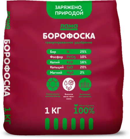 Fertilizer Borofosk: application, reviews, composition