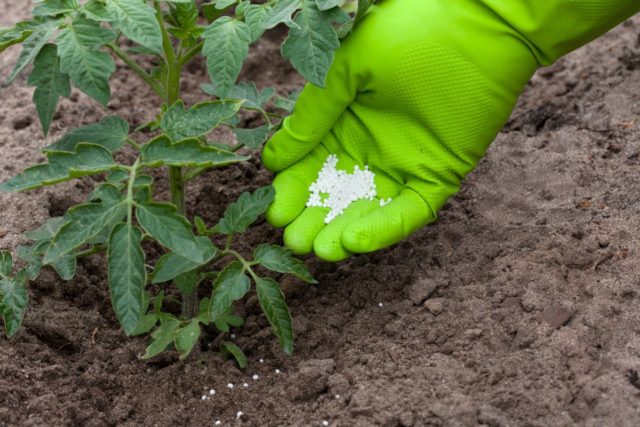 Fertilizer Borofosk: application, reviews, composition