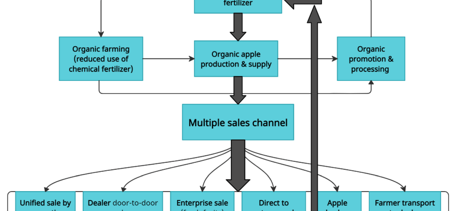 Fertilizer Crystalon: agrochemical features of the product