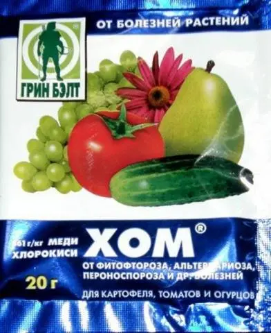 Fertilizer for tomatoes Hom