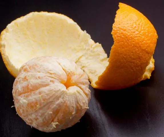 Fertilizer from orange peels for indoor plants, garden and vegetable garden