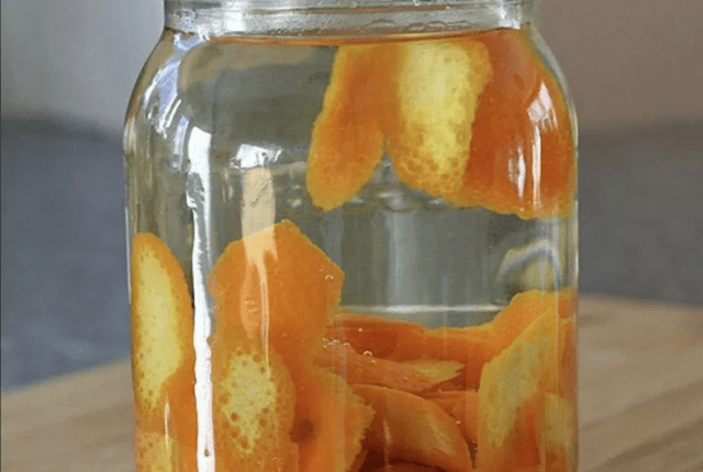 Fertilizer from orange peels for indoor plants, garden and vegetable garden