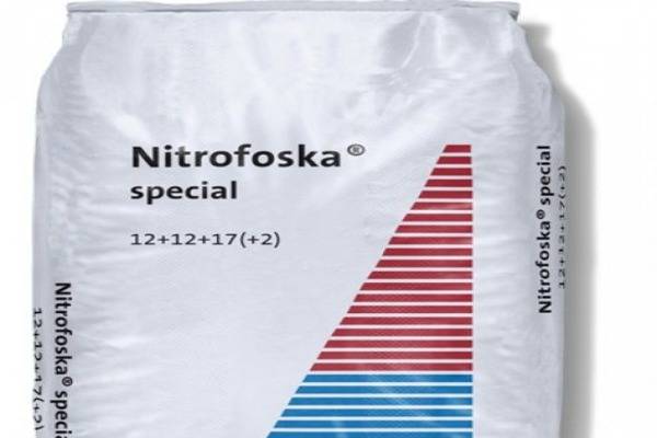 Fertilizer Nitrofosk: instructions for use, reviews