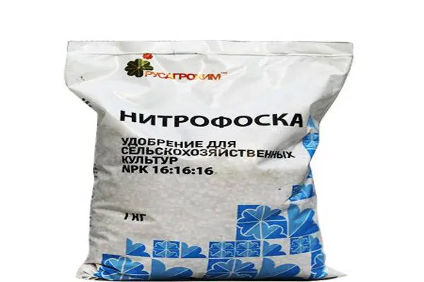 Fertilizer Nitrofosk: instructions for use, reviews