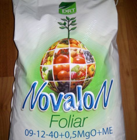 Fertilizer Novalon: application for green onions, tomatoes, potatoes