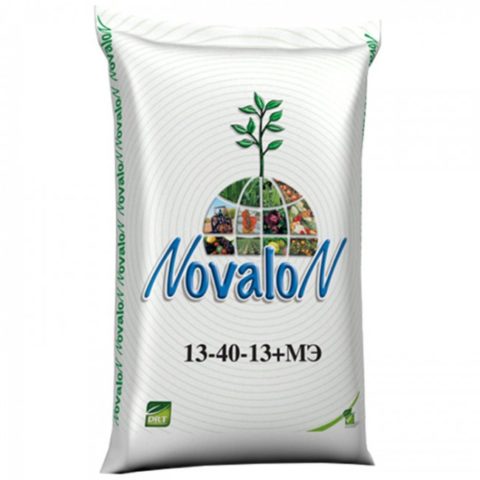 Fertilizer Novalon: application for green onions, tomatoes, potatoes