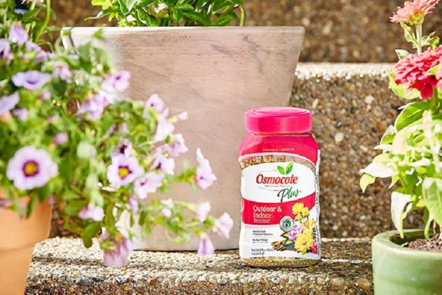 Fertilizer Osmokot: reviews, instructions for use for plants and flowers