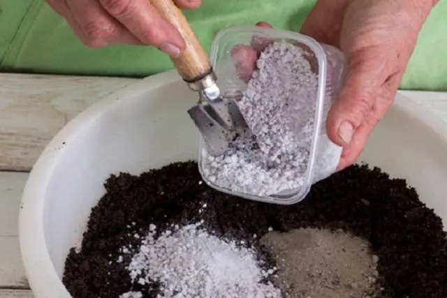 Fertilizer Superphosphate: instructions for use, how to dissolve in water