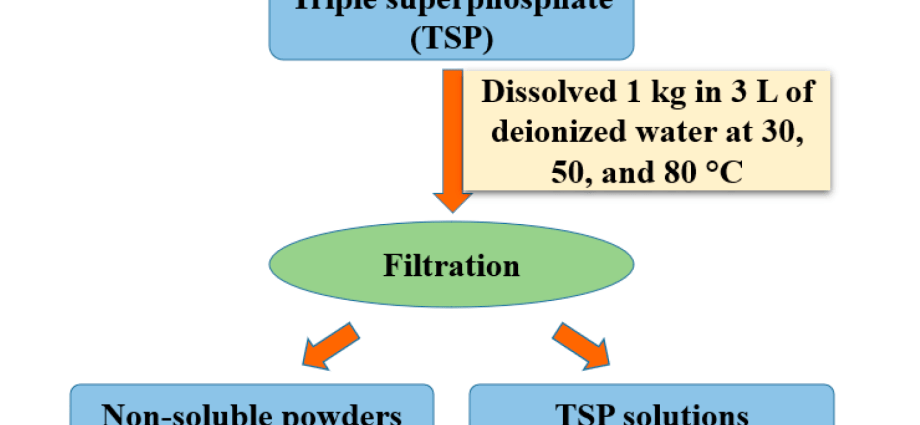 Fertilizer Superphosphate: instructions for use, how to dissolve in water