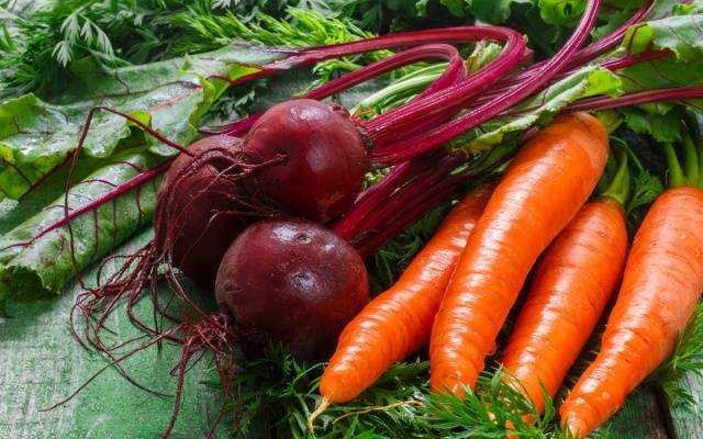 Fertilizers for carrots and beets